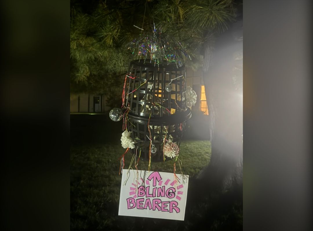 Night display: a laundry-basket cage hung in a pine tree, decorated with tinsel and disco balls, with a sign reading Bling Bearer